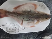 清蒸鲈鱼，适合老年人的低脂低卡健康晚餐