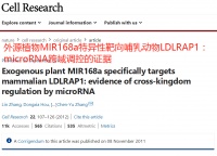 中医食疗翻身战，科学家找到了“吃啥补啥”的新证据！