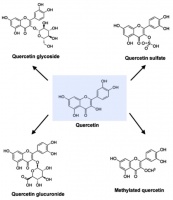 Quercetin, Inflammation and Immunity