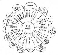 健康管理师培训：构建全方位健康指导能力