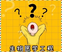 医疗设备行业全景：研发、影像到市场的多维解读