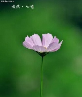 谈一谈双相情感障碍如何尽可能的保持病情稳定不复发，调整好情绪