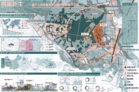 鹮翼新生——基于人地矛盾冲突化解的朱鹮复兴计划