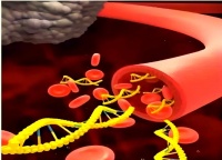 三氧自血療法：現(xiàn)代與傳統(tǒng)的血液健康管理新探索