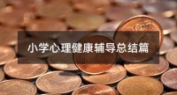 小学心理健康辅导总结篇