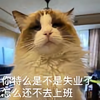 的个人主页