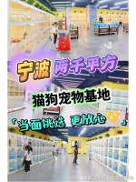 寧波哪里有賣寵物貓狗的地方？這兒有實體店可選，放心大膽挑吧