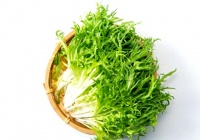 水培苦菊：清新凉拌菜的健康之选