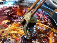 吃重庆火锅有哪些必点菜？