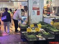 頭茬春菜登陸長沙，市民花式嘗鮮，部分春菜需控制攝入量