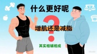 体重管理：如何在增肌与减脂间找到平衡