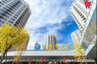 2026年北京医养结合新趋势：北京市昌平区金手杖国际养老公寓收费详解、入住条件及服务内容