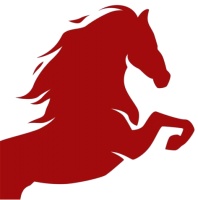 从张奶奶高能量的一天来看，老年人如何提升生活满意度与幸福感