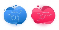科学指导：如何通过情绪调节提升健康