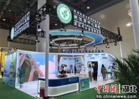 中新网湖北 湖北新闻网 武汉市中心医院数智医疗成果亮相健博会