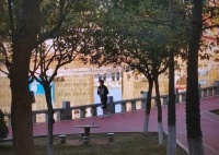 大学生晨跑的挑战与技巧：健康快乐的新起点
