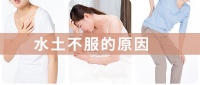 备孕/孕期营养/哺乳期保健