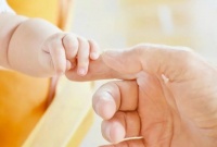 母体孕期和哺乳期双酚A暴露对后代小鼠具有传代神经发育毒性