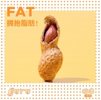 脂肪：能量源泉与健康平衡