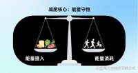 重塑健康体态：走出减重迷思的代谢平衡之道