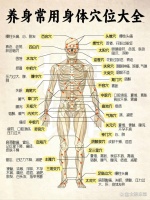 省钱实用的在家养生法 常用身体穴位大全 人体的五脏六腑、四肢百骸、五官九窍、皮肉筋骨等组织器官，之所以能保持相对的协调与统一，完成正常的生理活动，是依靠经络系统的联络沟通而实现的，而穴位是人体脏腑经络气血输注于体表的部位。 经络、腧穴在人体中纵横交错、沟通内外、联系上下，与人体脏...