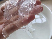 【步骤图】椰奶炖桃胶雪燕（日常补血养颜佳品）的做法