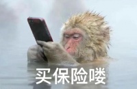 科学规划保险，为全家打造安心保障方案