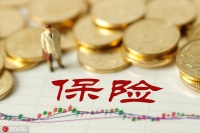 保险的保障额度如何合理设置？