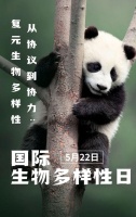 国际生物多样性日，这几个相关小知识了解一下
