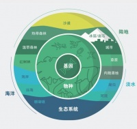 生物多样性如何通过四大路径影响人类健康：研究成果与建议