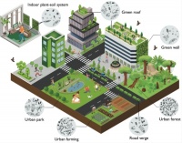 城市环境所等在通过调控城市土壤生物多样性促进人类健康方面获进展
