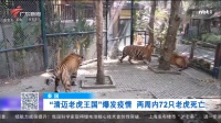 【深圳】“一键预约”享轻松 各大运动场所“健身忙”