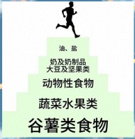科学饮食金字塔：健康一日三餐的秘诀