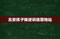 北安孩子叛逆训练营地址