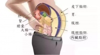 6个HIIT高效训练动作，燃烧腹部皮下脂肪！