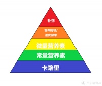 健身爱好者如何科学制定营养计划？营养素篇