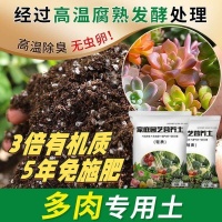 新手入坑园艺总踩雷？多肉营养土与专业花剪这些“坑”你避开了吗？内行避坑指南，让你少花冤枉钱，快速上手园艺！