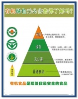 健康食品大揭秘：宝妈们必知的真相