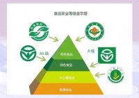 有机、绿色与无公害食品：健康之选的差异与优势