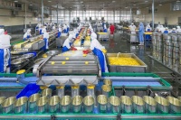 中国有机绿色食品：从生产探秘到未来展望