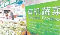 解密有机蔬菜：健康、环保与价格背后的故事