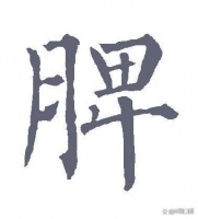 中医脾胃养生：调理脾胃功能，远离消化系统疾病