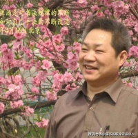 听崔老师讲书法与养生