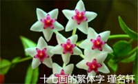 17画的繁体字