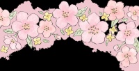 女生科学减脂全攻略：不再节食，不靠暴汗