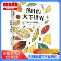 美术/书法