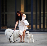 生二胎的经济账你算过吗？一般人还是量力而为