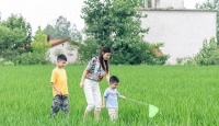 生育二胎的经济规划：城市间养育成本的全面分析