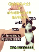 脂包肌身材：健康与美观的完美结合探秘