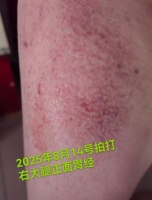 拍拉训练一个月总结与身体变化分享